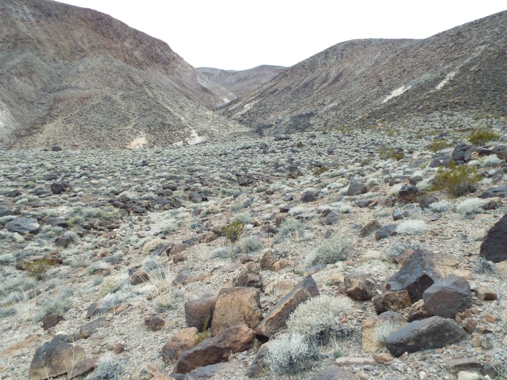 Once we reached the high point of the crossover, we could see farther up the left fork we had been hiking in: