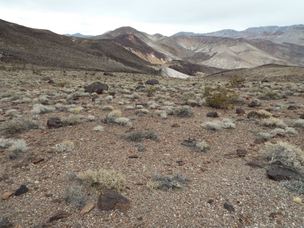But our objective was to drop into the top part of the right fork, seen here, in order to complete our loop of the South Fork of Tafoni Canyon: