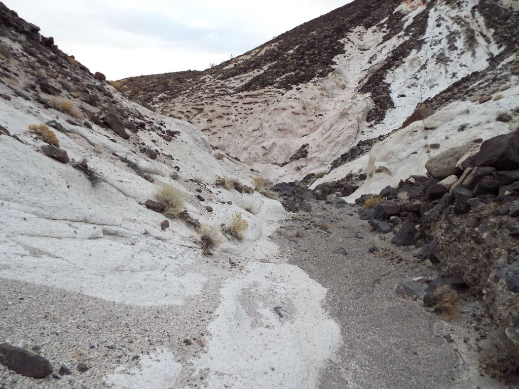 A short distance past where we reentered the canyon at the bypass, tafoni features could be seen on the hillsides once again: