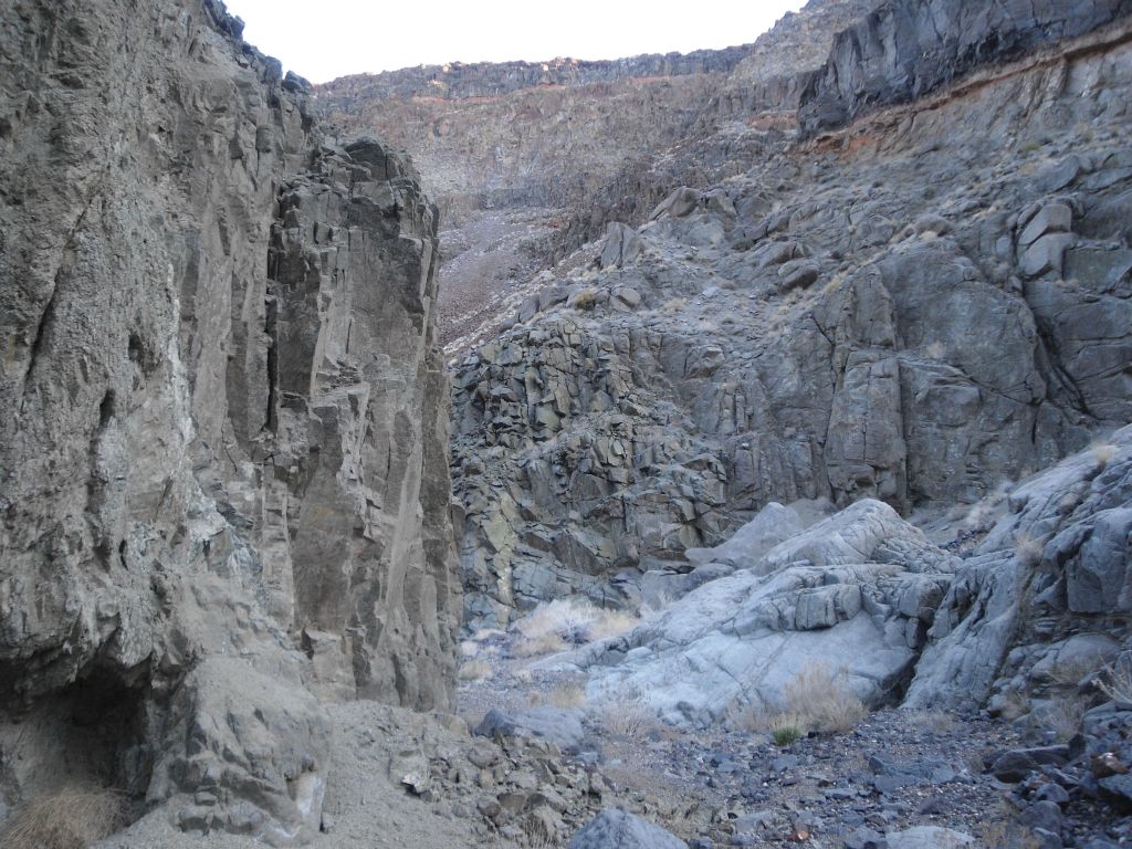 The cliffs in the distance rise up over 1,000 feet in elevation above the canyon floor: