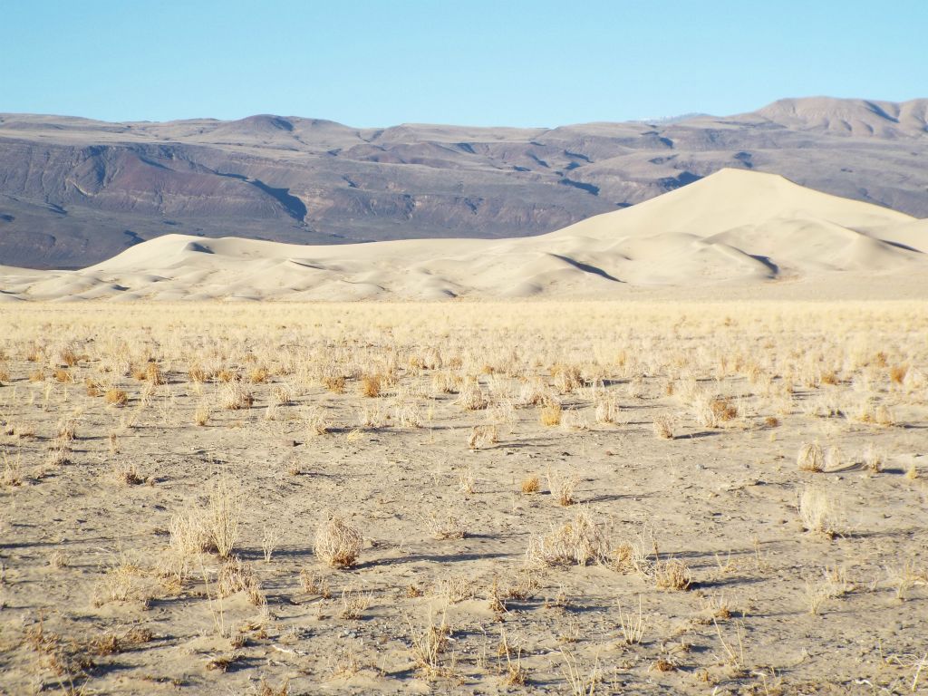 We decided to head to the back half of the dunes first, targeting the small peak seen on the left: