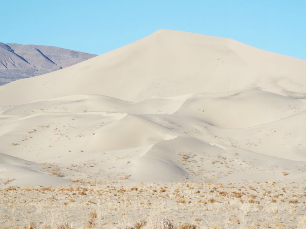 This large sand hill is located in the back half of the dunes and would be our first main target.  To get there, we would first circle around and pass through some rarely explored areas:
