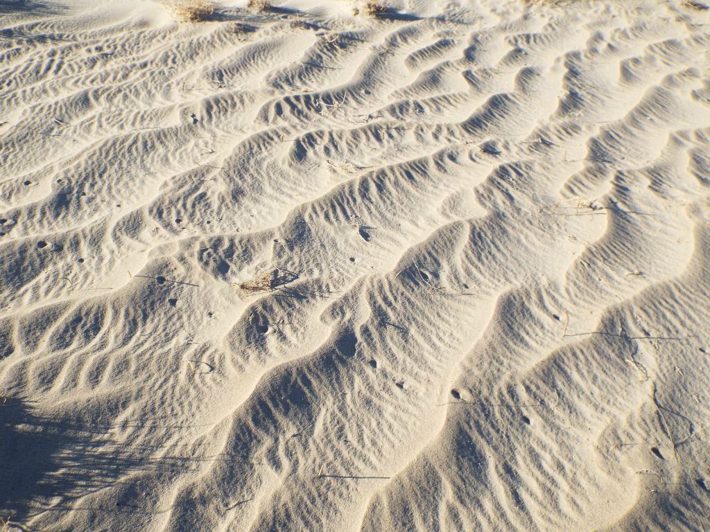 Immediately, we noticed pretty ripple patterns in the sand: