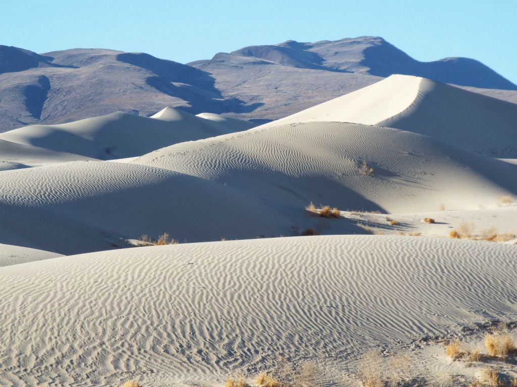 Notice how the ripple patterns were covering all of the small hills which were within view: