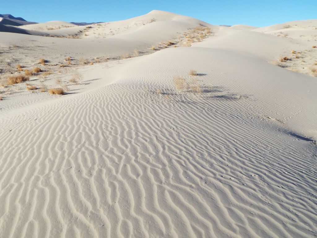 Despite having probably the second highest visitation of any sand dunes system in the park, the back half of the Eureka Dunes contains many areas of untouched sand: