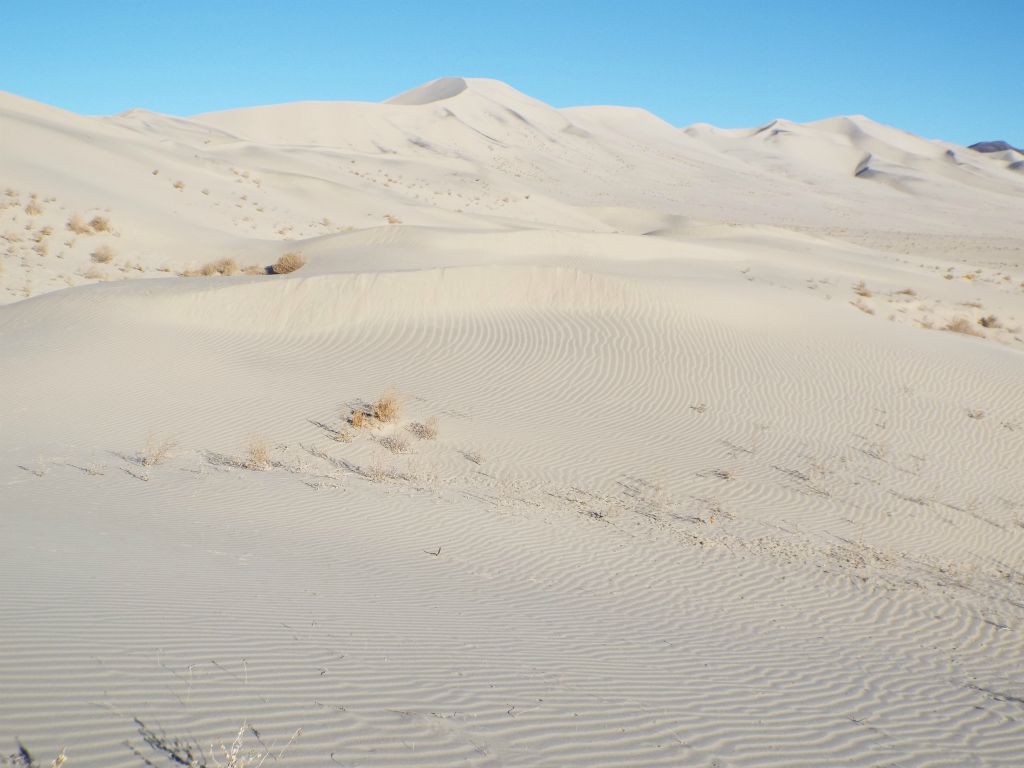 Note the circular ripple patterns in the sand which extend throughout the area here: