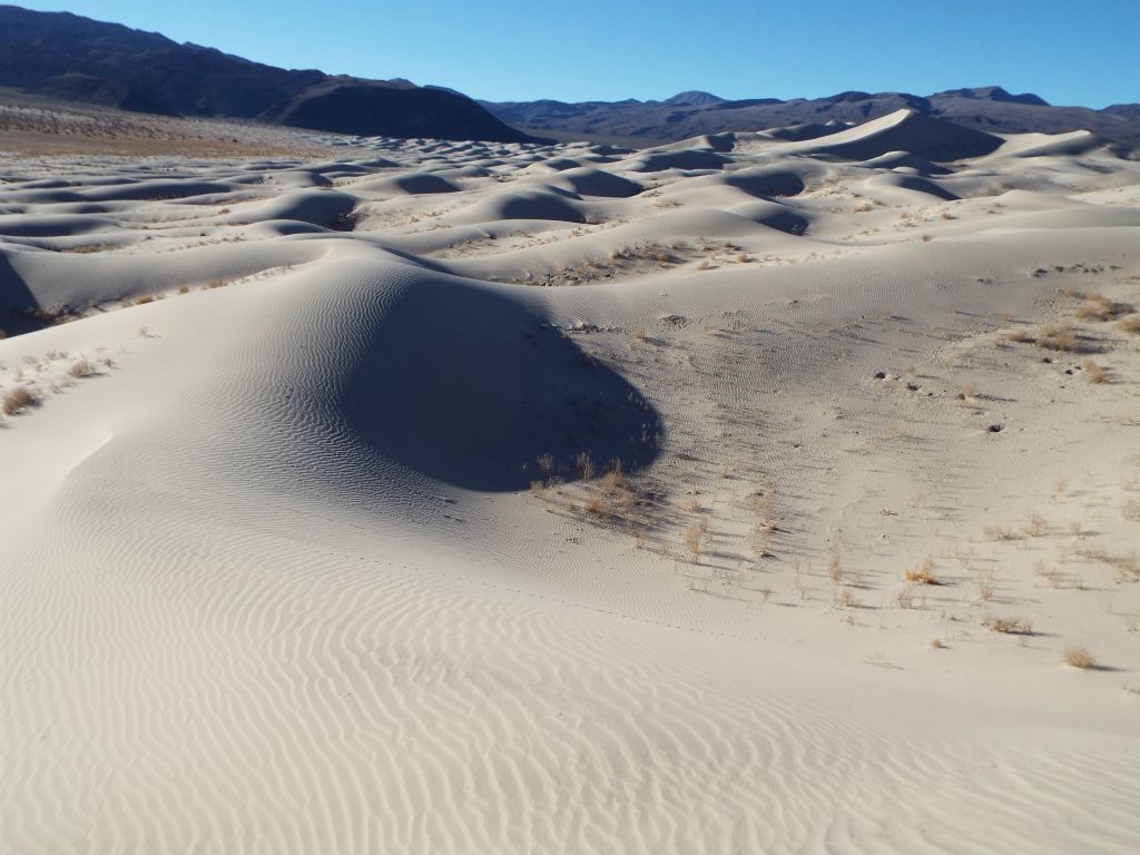 From where we entered the back half of the dunes, there was still another 1 1/2 miles of sandy hills we could have explored as seen here far in the distance:
