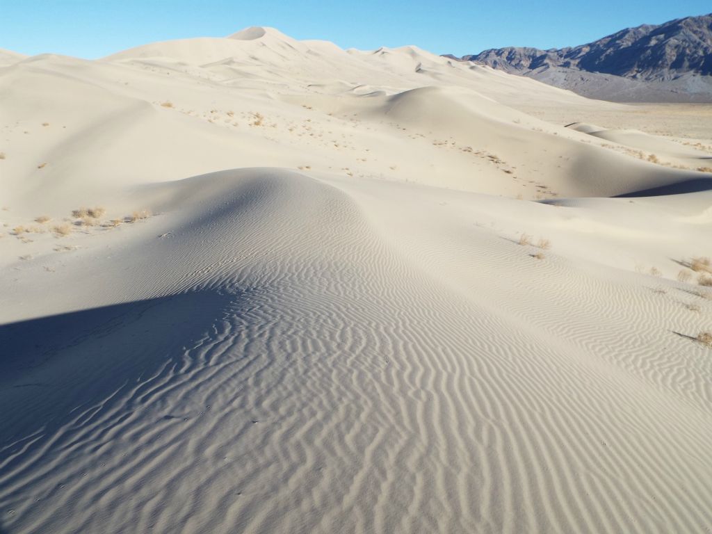 Looking far off into the distance about 1 1/2 miles away to our end destination at the front half of the dunes: