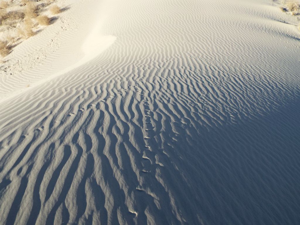The next two pictures show some of the animal and creature footprints we found on the back half of the dunes.  While human footprints ruin the scenery, these type of prints add to it: