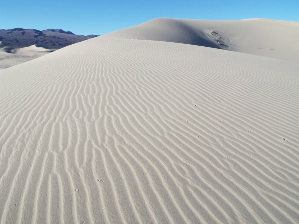 Some lines in the sand patterns seemingly go on forever while others split into forks and more forks: