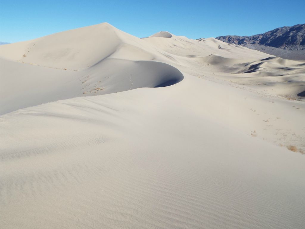 We continued to have a perfectly formed ridgeline to walk across.  We didn't feel bad about trampling the sand alongside it because the ridgeline will reform during the next windstorm: