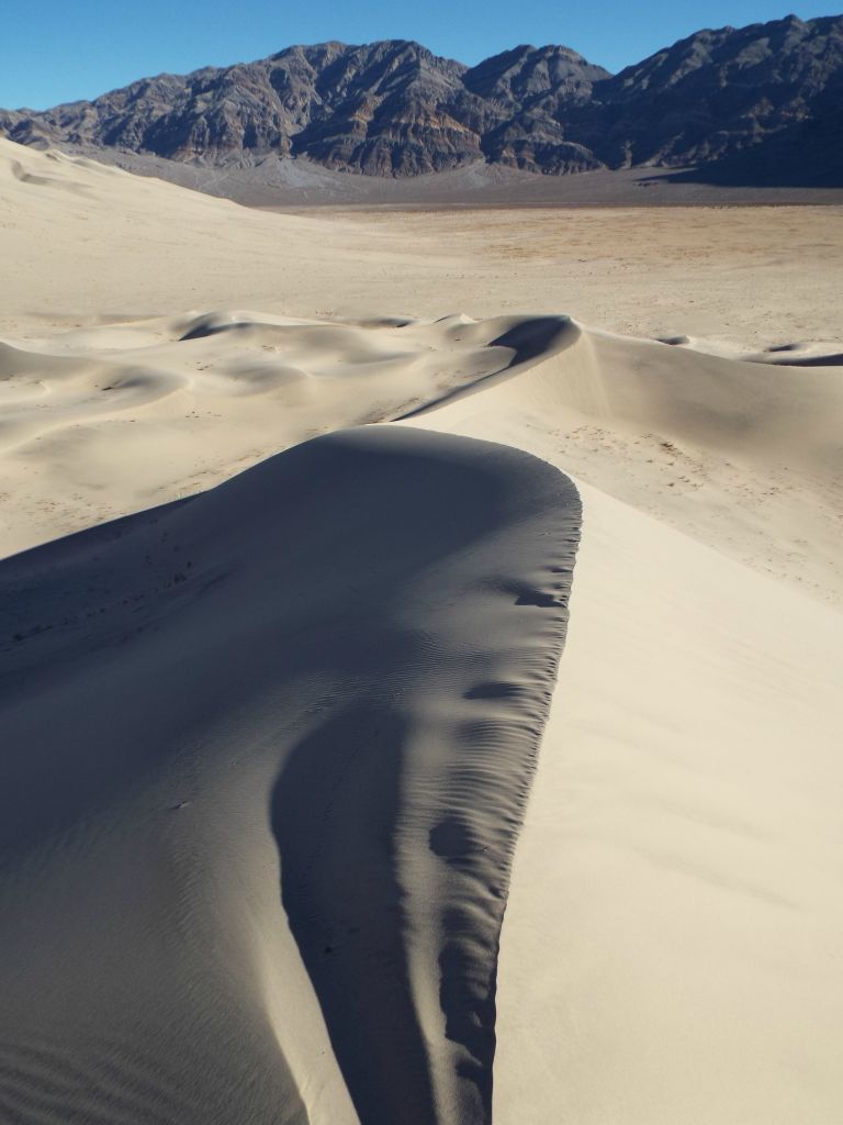 Curved ridgelines of sand adding to the scenic beauty: