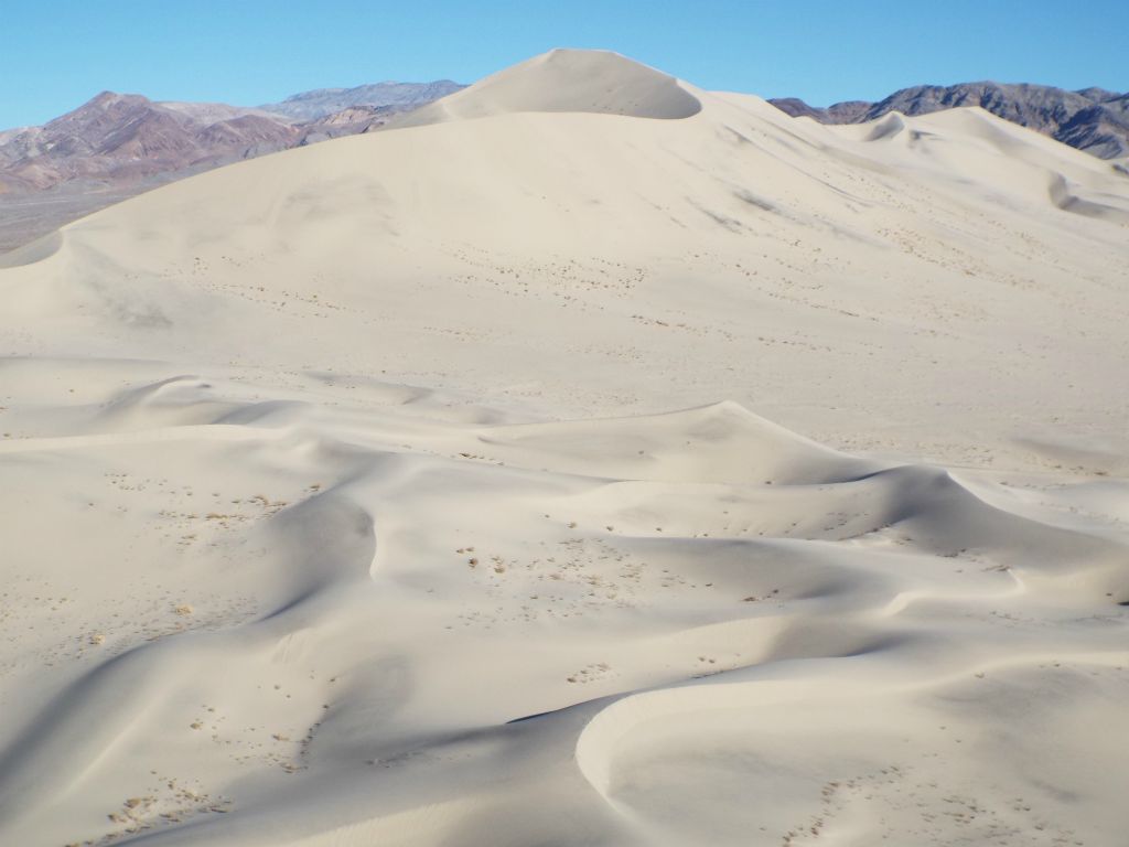 Looking ahead to the front half of the dunes, you can see the two major peaks we were next targeting far in the distance: