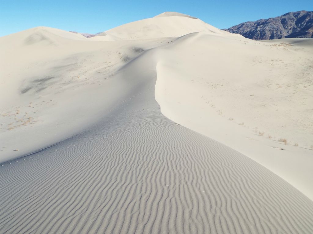 Coming across more beautiful sand patterns that were untouched: