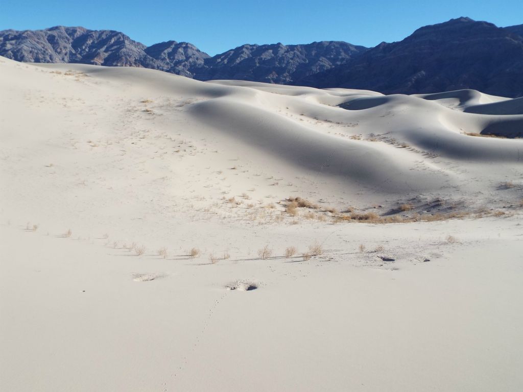 The sand off to our right was now higher than we were: