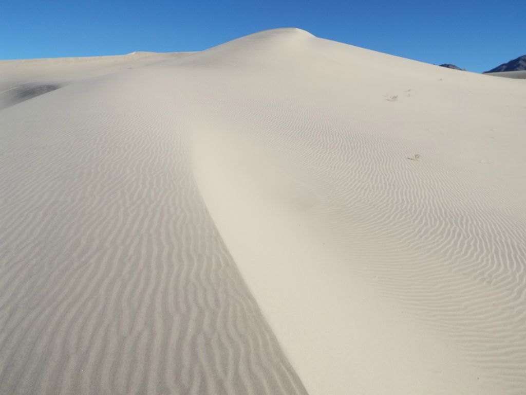 Check out the contrast in sand patterns with long straight lines on the left and circular designs on the right: