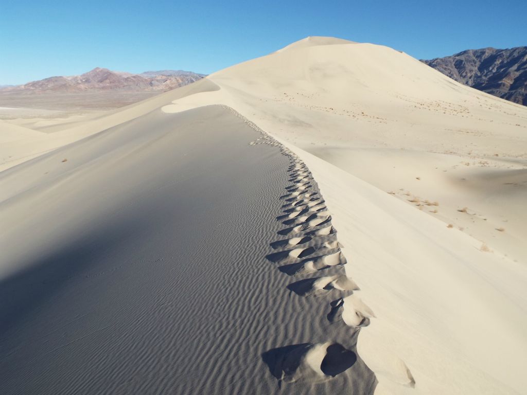 While climbing the front half of the dunes, we were continuously following in other people's footsteps: