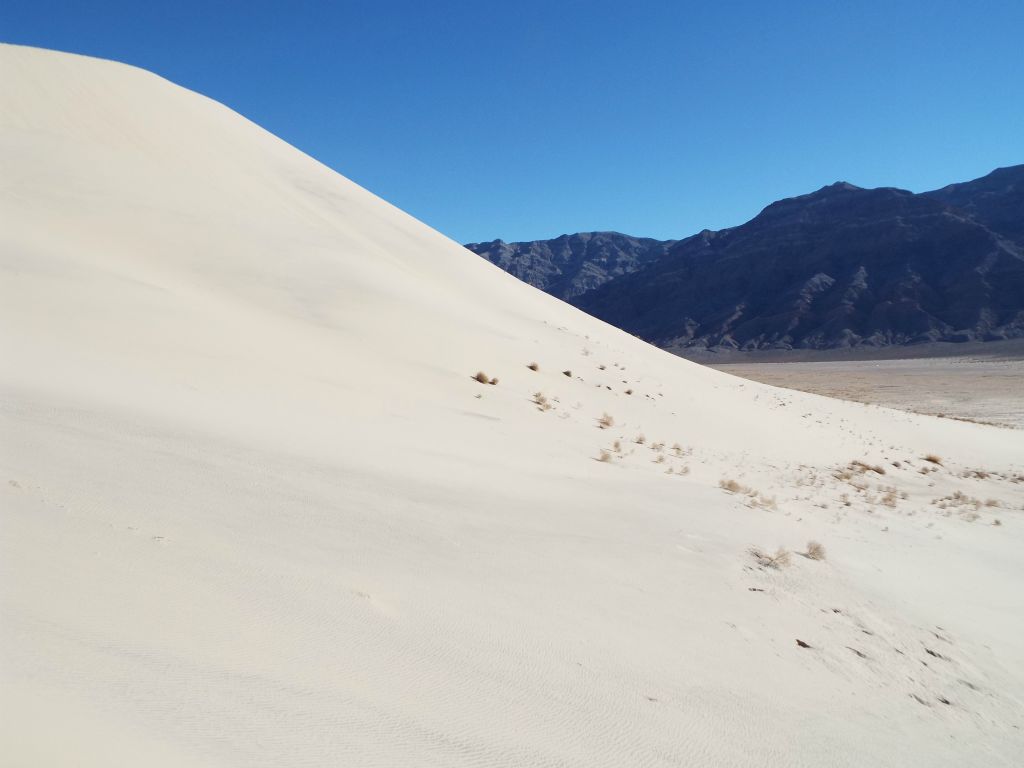 A true mountain of sand rising up above Eureka Valley: