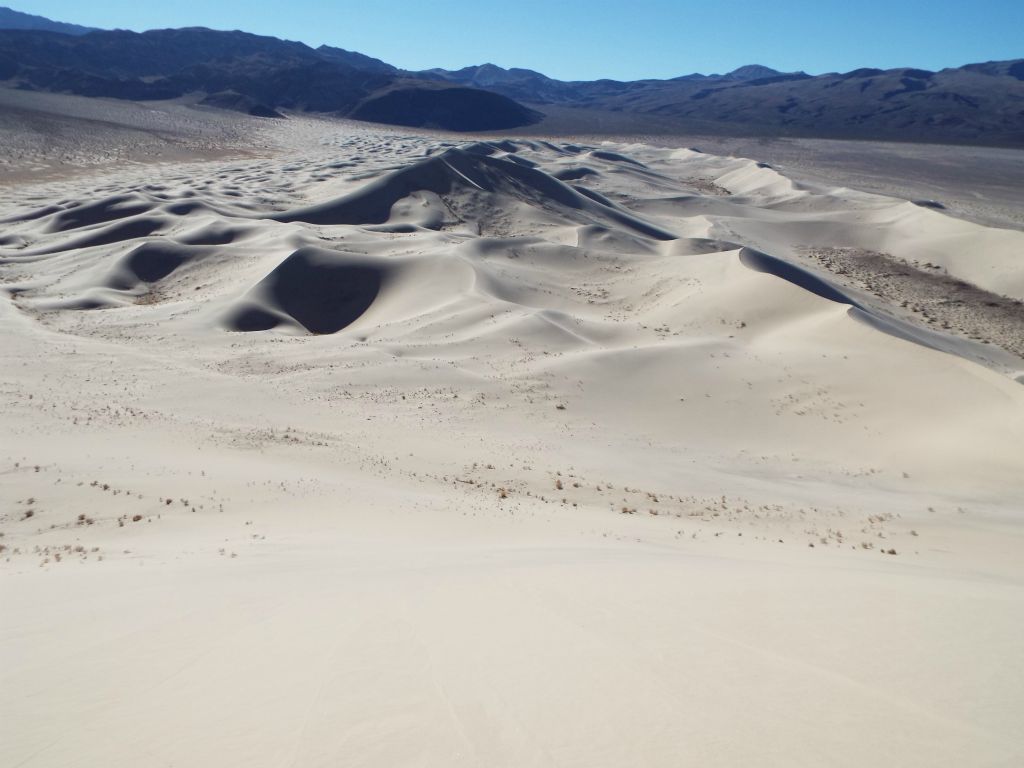 From this spot, we could see nearly 2 1/2 miles of sand stretching behind us: