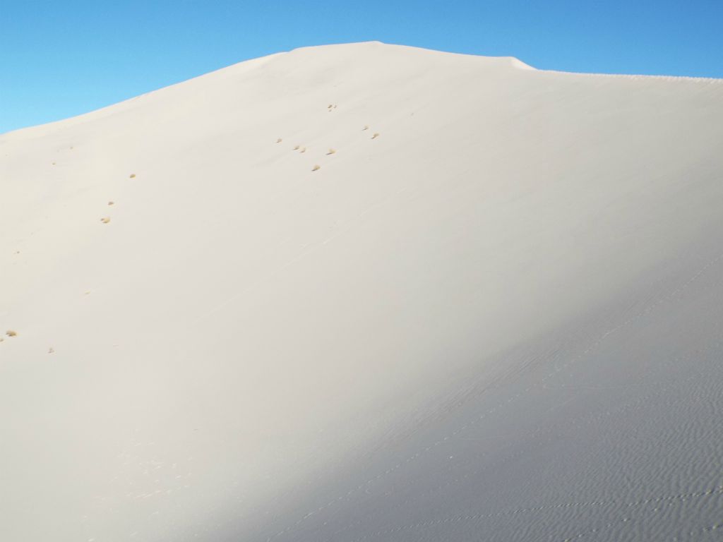 The hike up to the sand peak in the distance was some of the slowest hiking I have done in the park.  It seemed to take forever: