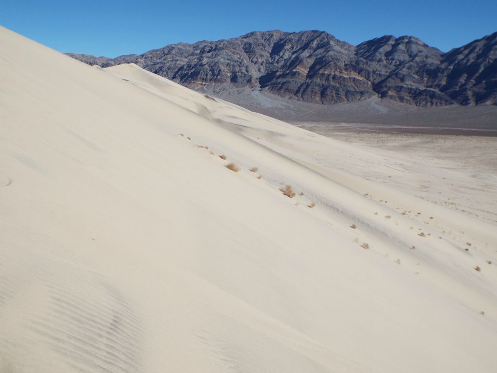 The Last Chance Mountains framed by the sand mountain we were climbing: