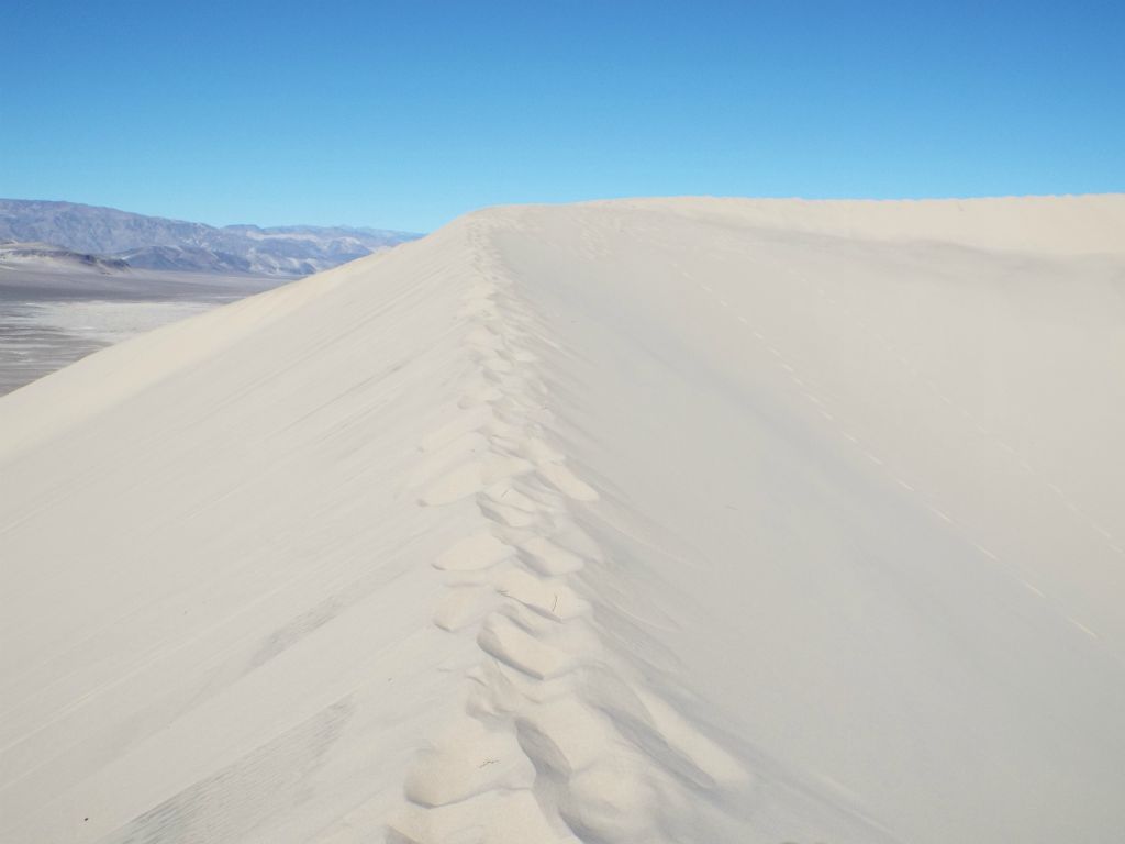 As we approached the first major peak, the terrain finally leveled off enough to enjoy the walk for a while: