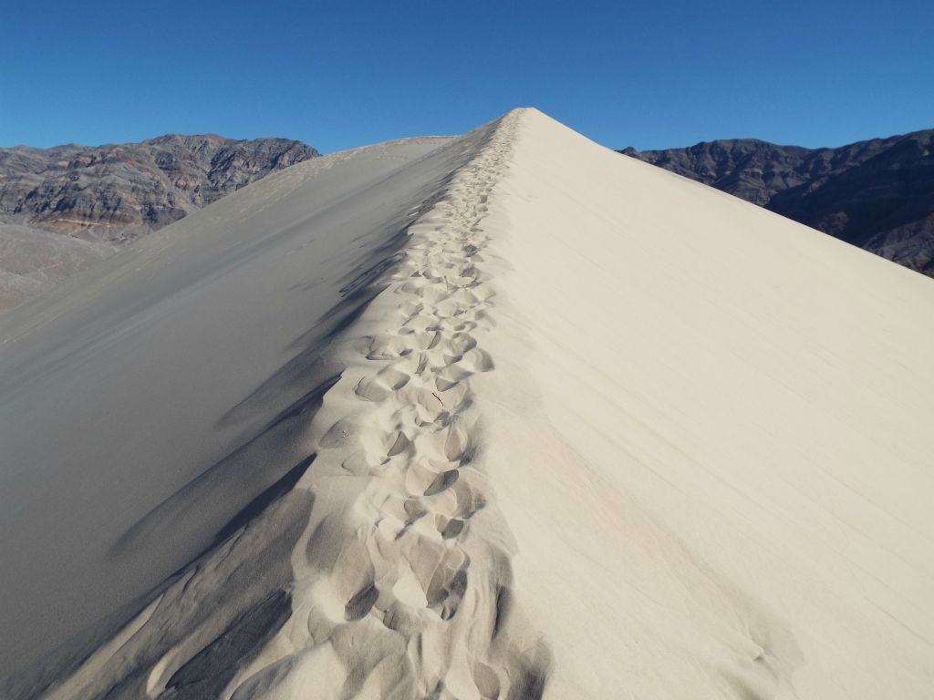 The steep climbing for this hike wasn't quite over just yet: