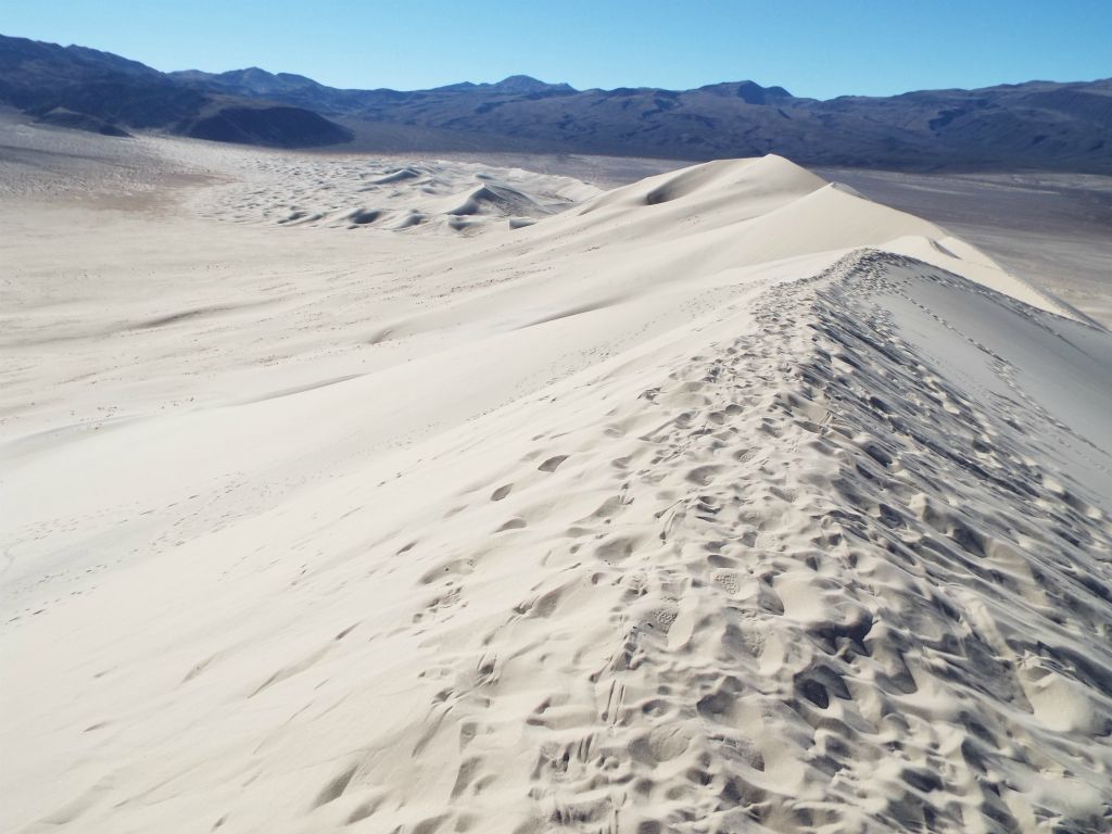You can see that with all of the trampled sand in this area: