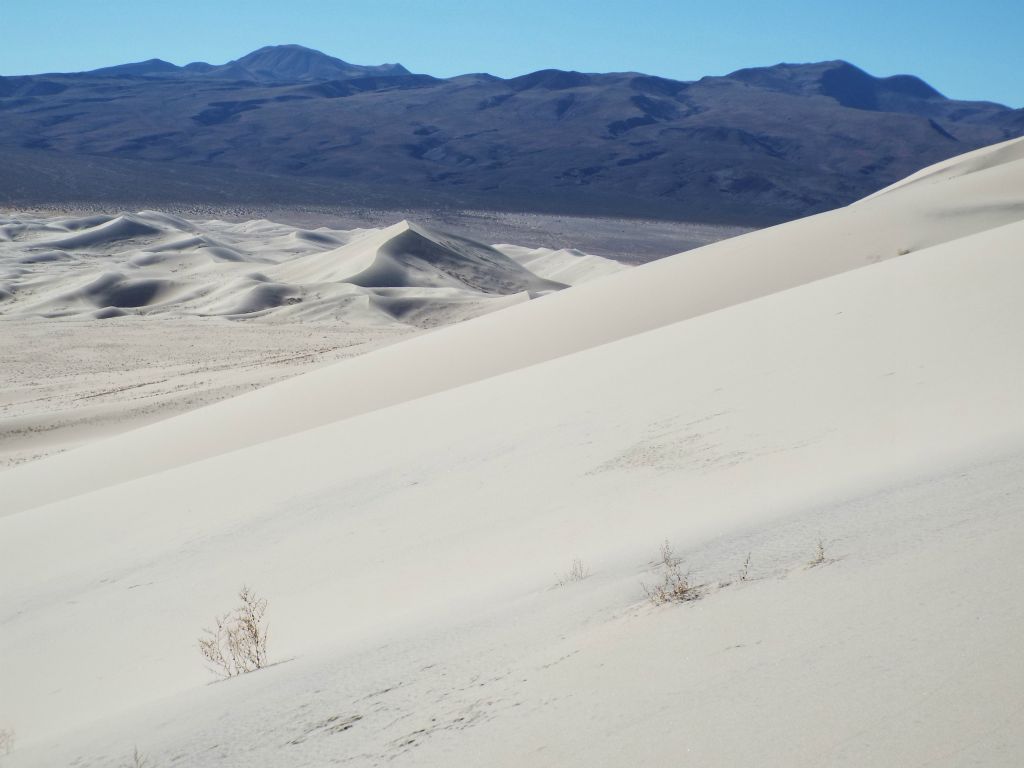 Taking one more look at distant Saline Peak while heading down: