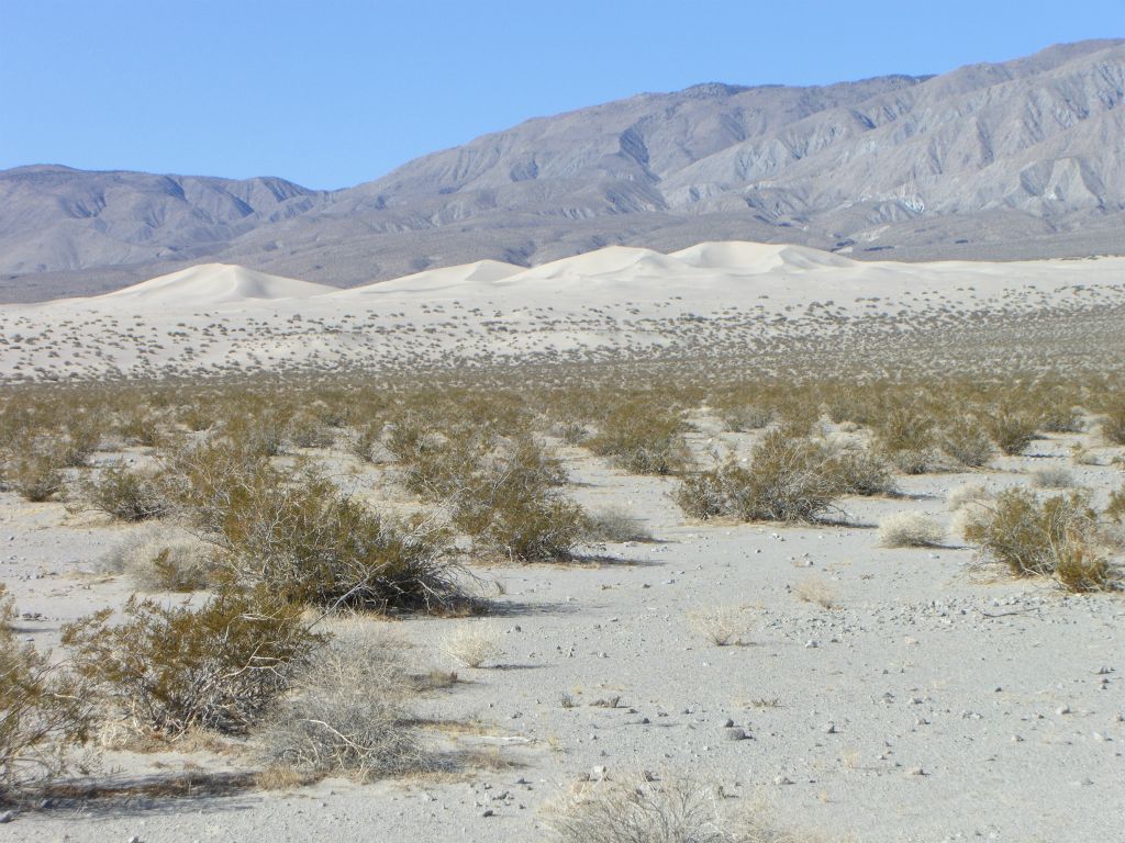 It is quite a long walk out to the dunes.  Not very difficult as the ground is mostly firm with some sandy spots: