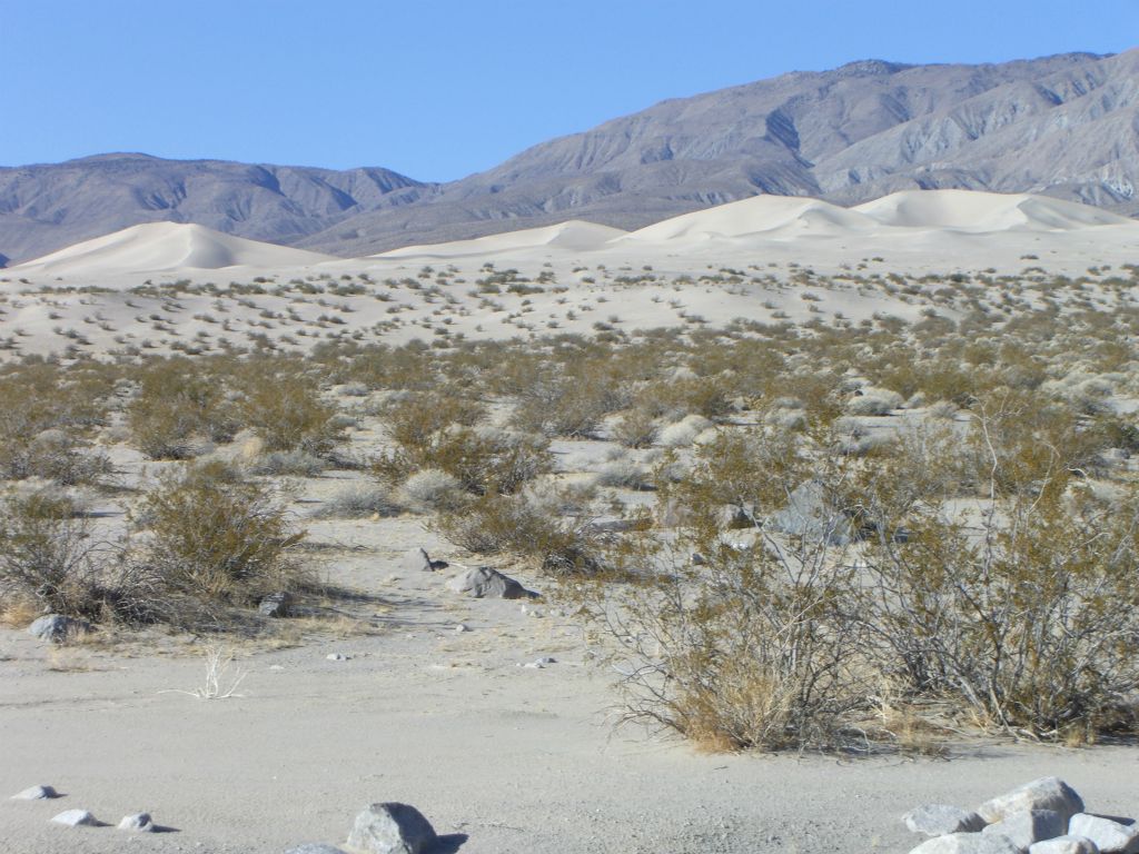 Nearly to the base of the dunes now: