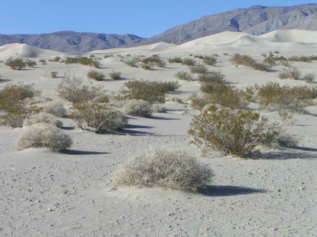 Climbing up the first sandy small hill: