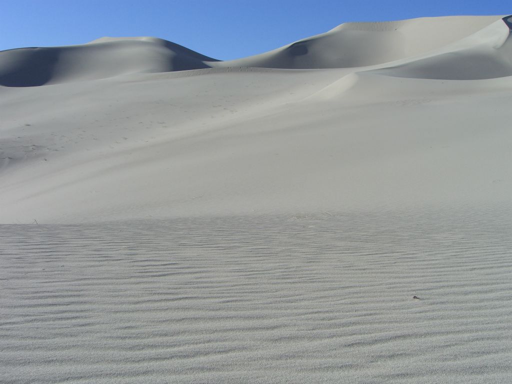 This was untouched sand, as nobody else was out here on this day.  It may have been days or weeks since the last person visited these dunes: