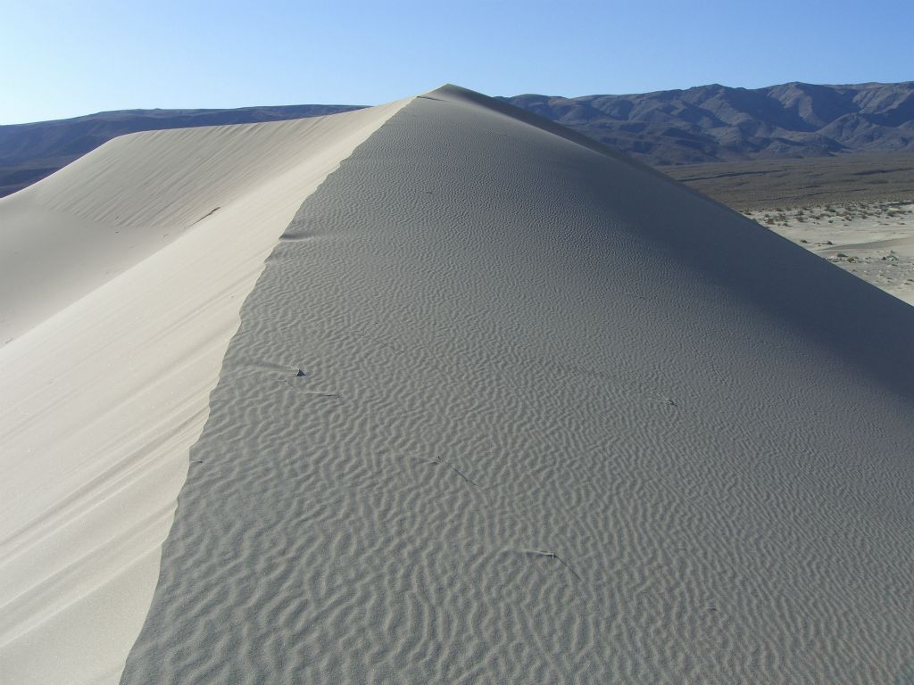 The ridge lines were well defined and there was a slight wind during  our hike.  I noticed that it didn't take long for my footsteps to start erasing behind me: