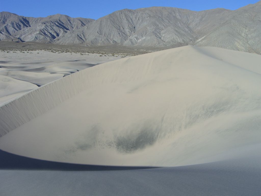 A black spot on the sand.  There were black patches in different areas of the dunes: