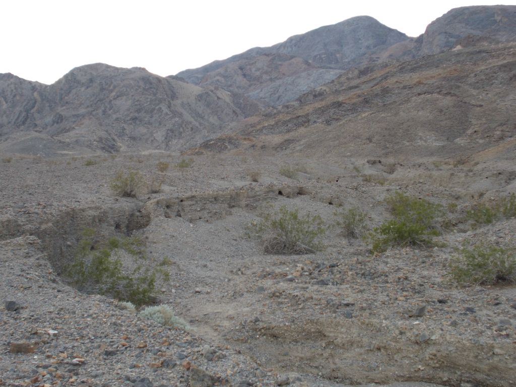 The two canyons split at the top of this fan once you enter into the wash: