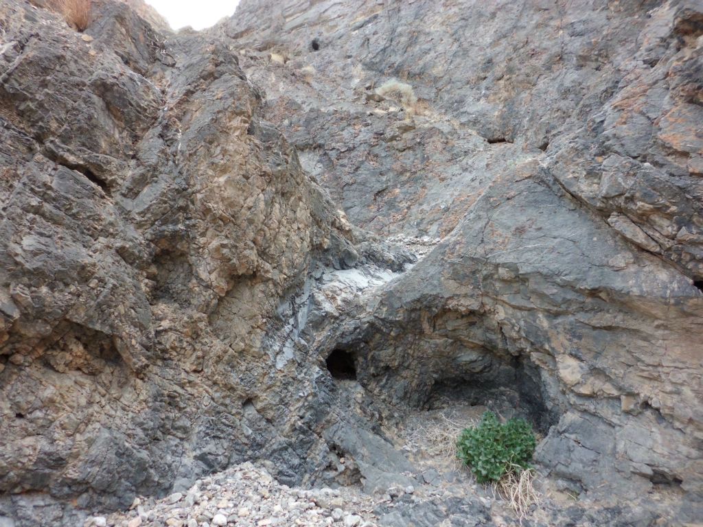 A 2nd dry fall was just above the 1st one.  This section had a series of dry falls to climb, most of them not too difficult: