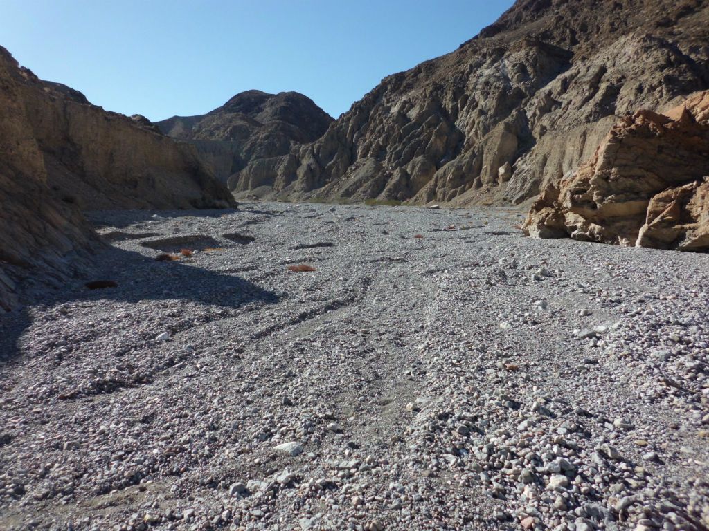 We found lots of footprints in the wash of the canyon, which is likely a favorite of canyoneers: