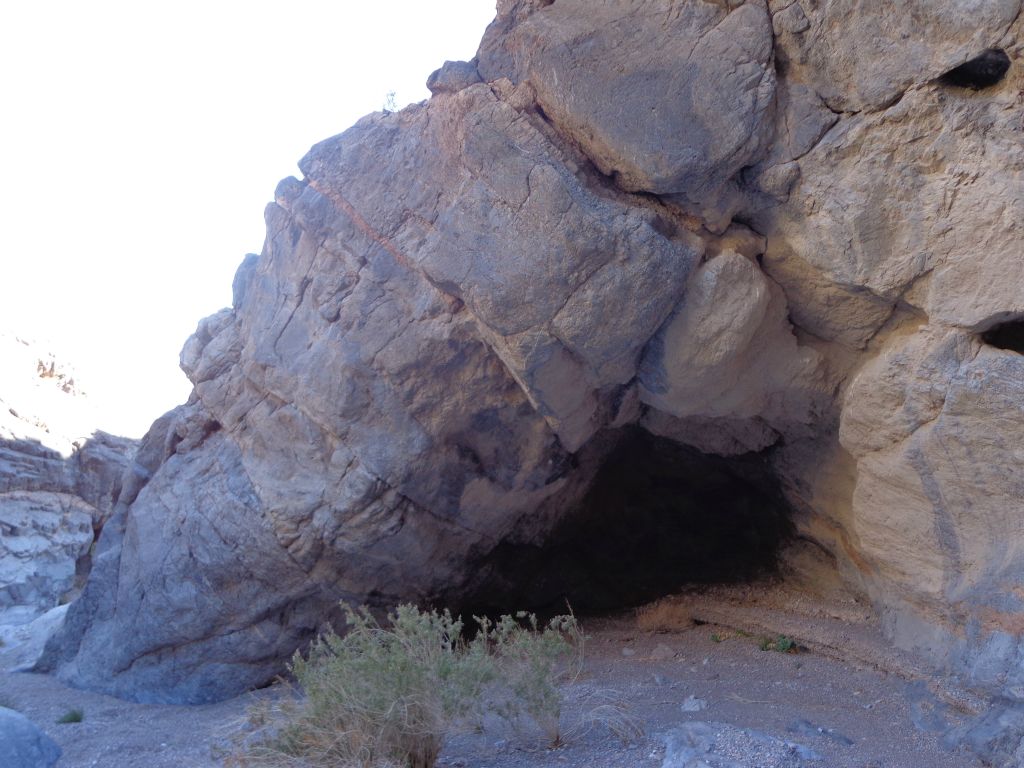We checked out this cave and could see that a bat was living inside here: