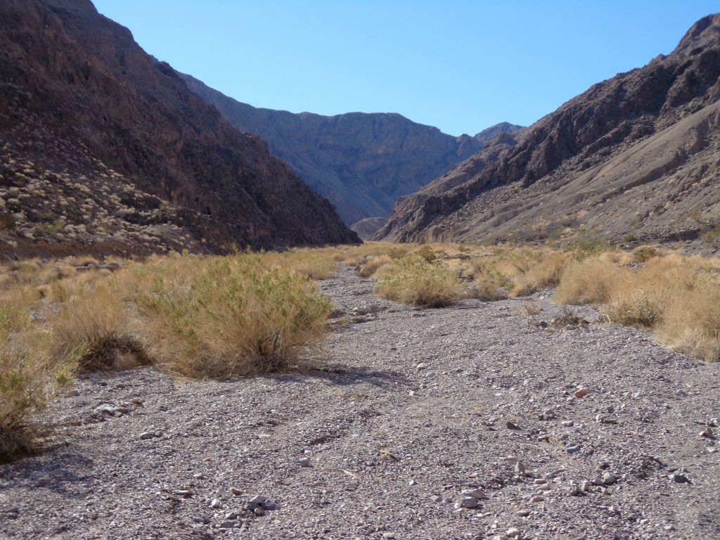 Looking ahead, it is evident that Forbidden Canyon is going to be wide open for quite a while: