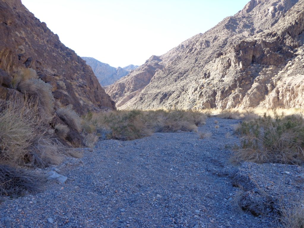 One of the key aspects of this canyon was that it had extensive plant growth in the wash: