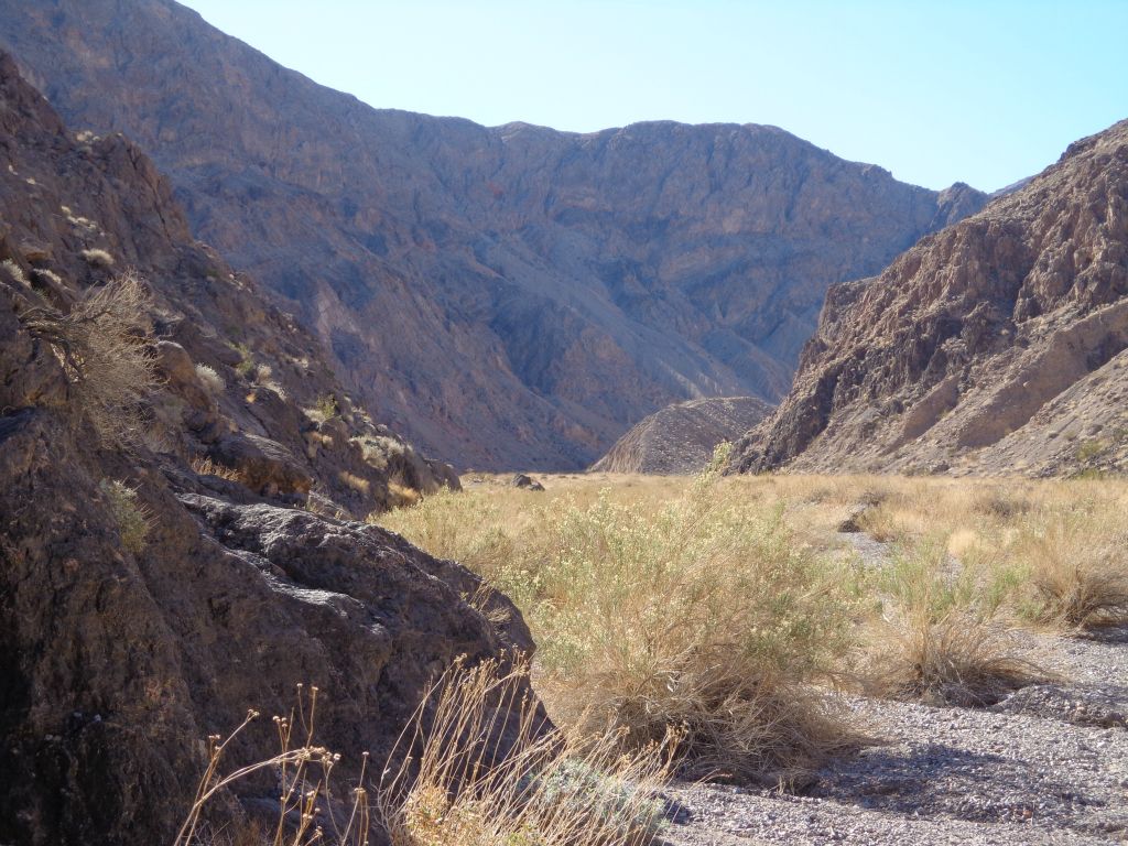 For over one mile, we headed towards a major bend in the wide canyon: