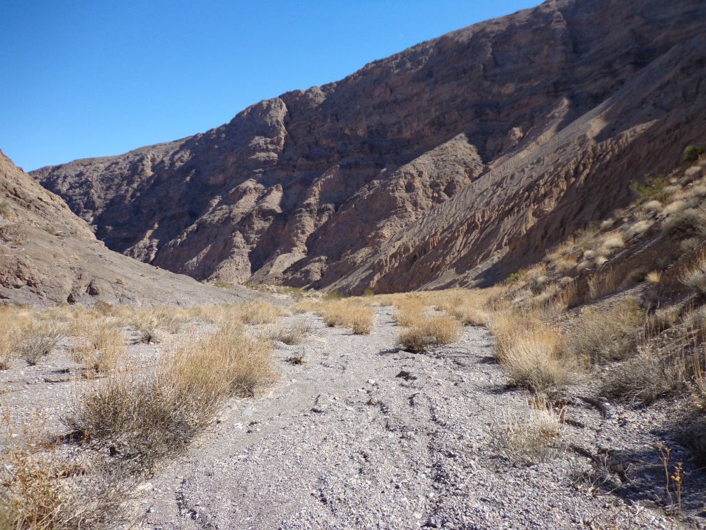 The top of the canyon wall is 1,000 feet above the wash right here:
