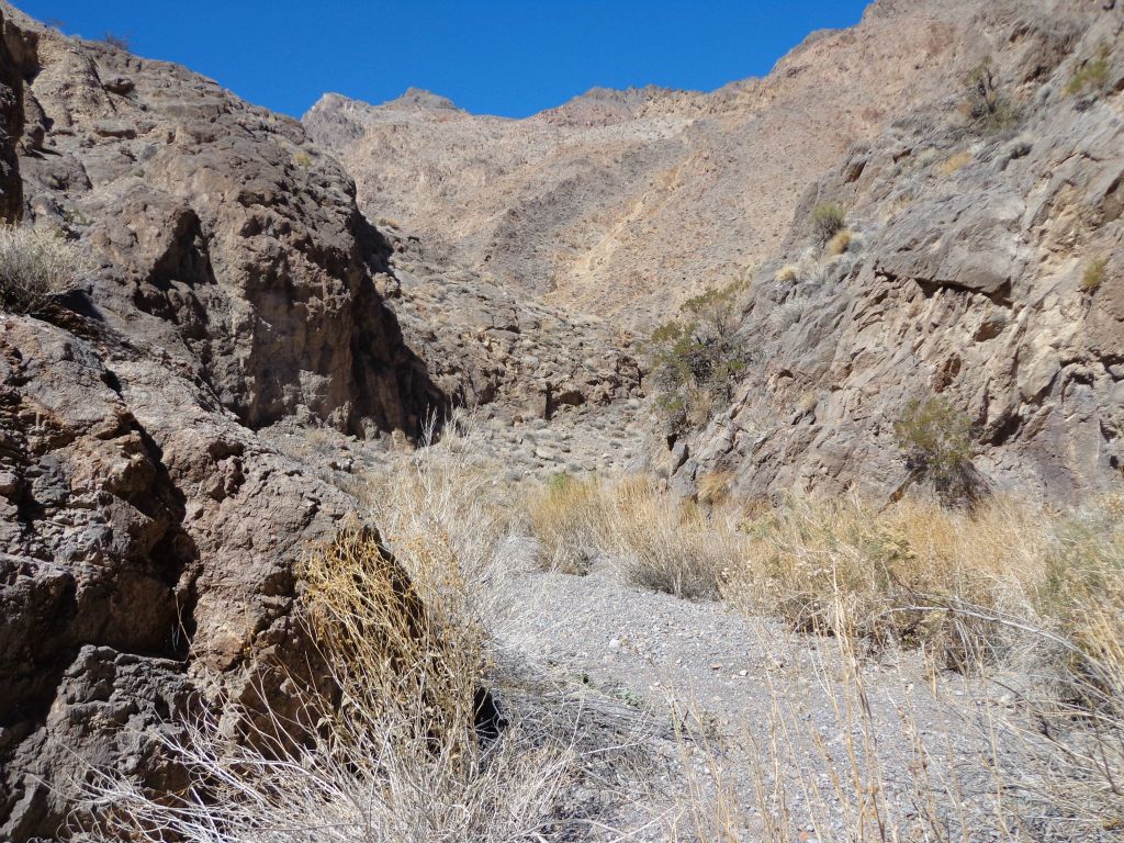 These are shallow narrows with a few quick turns and tight spots: