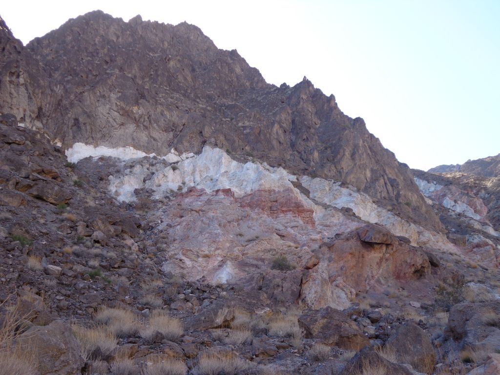 Sure enough, a grand display of white and red colors could be seen: