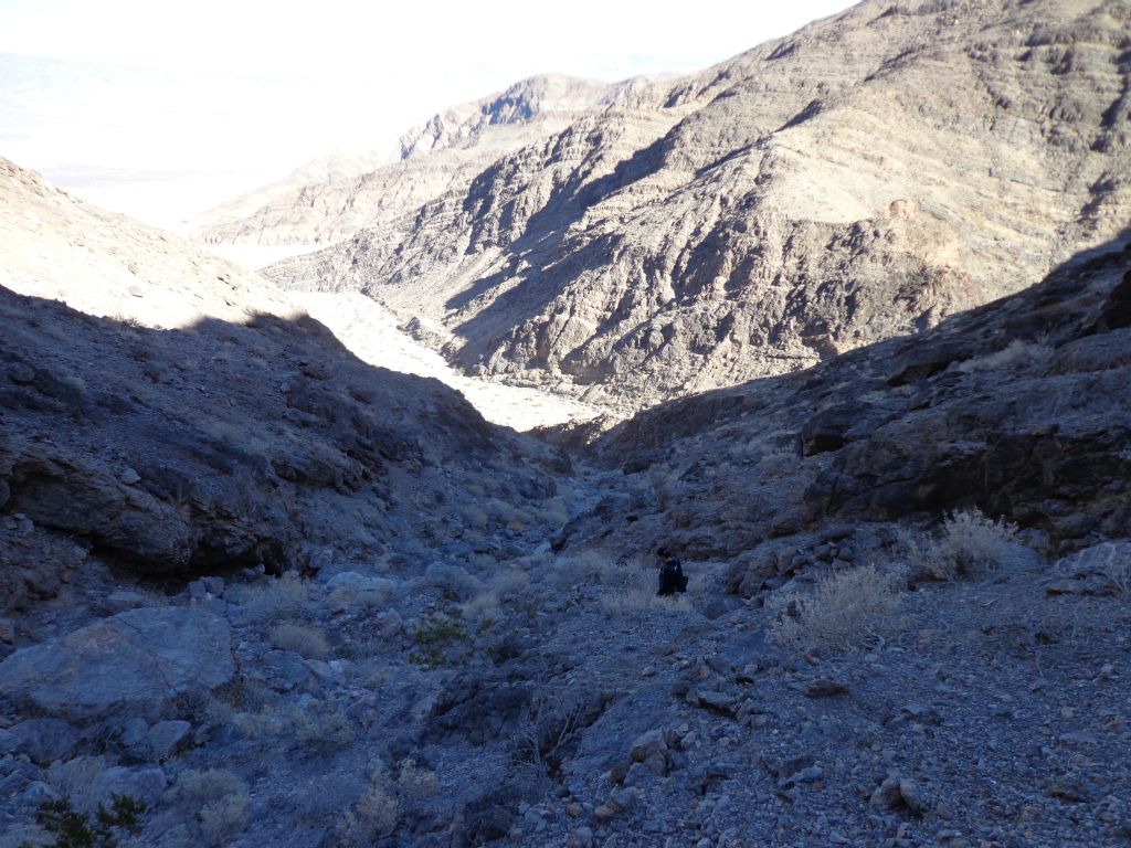 Final leg of the bypass with the gully in the distance.  With that, it was time to bid farewell to Forbidden Canyon.  We would carry with us the lesson of the Kit fox on all of our future Death Valley hikes- be careful around dry falls and ledges: