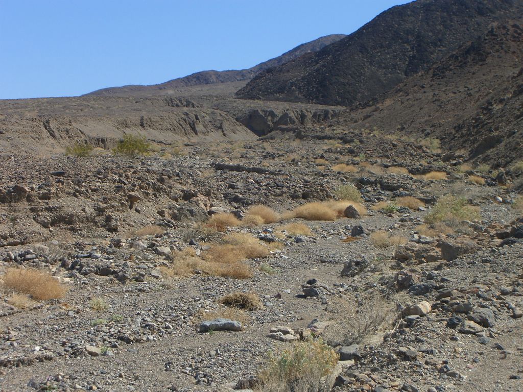 After doing some wash crossings, there was a more defined route heading up toward the minor unnamed canyon visible in the distance:
