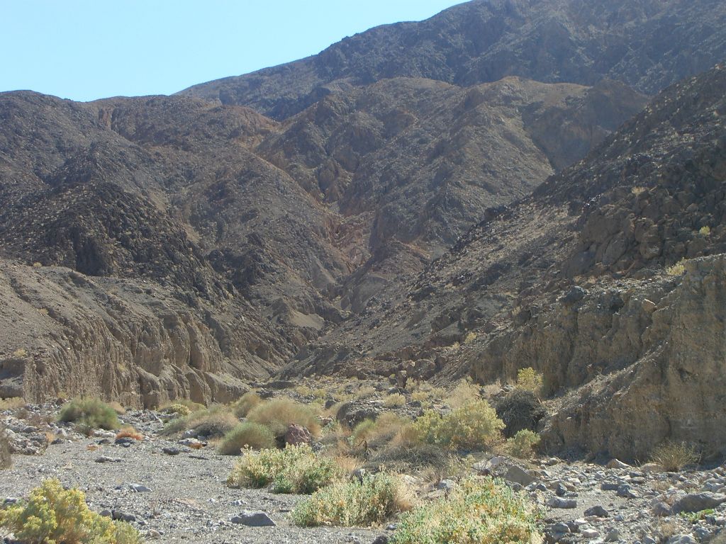 We got into the wash of the minor canyon and tried hiking in it for a while:
