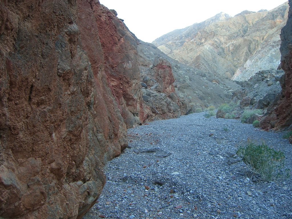 While hiking close to these beautiful walls, I was actually constantly thinking about mountain lions during this hike.  Not because I saw one but because a previous visitor to this canyon had said he spotted one and was freaked out: