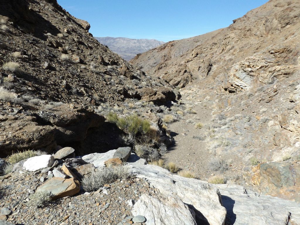 Looking back down canyon after climbing up a small pour-over:
